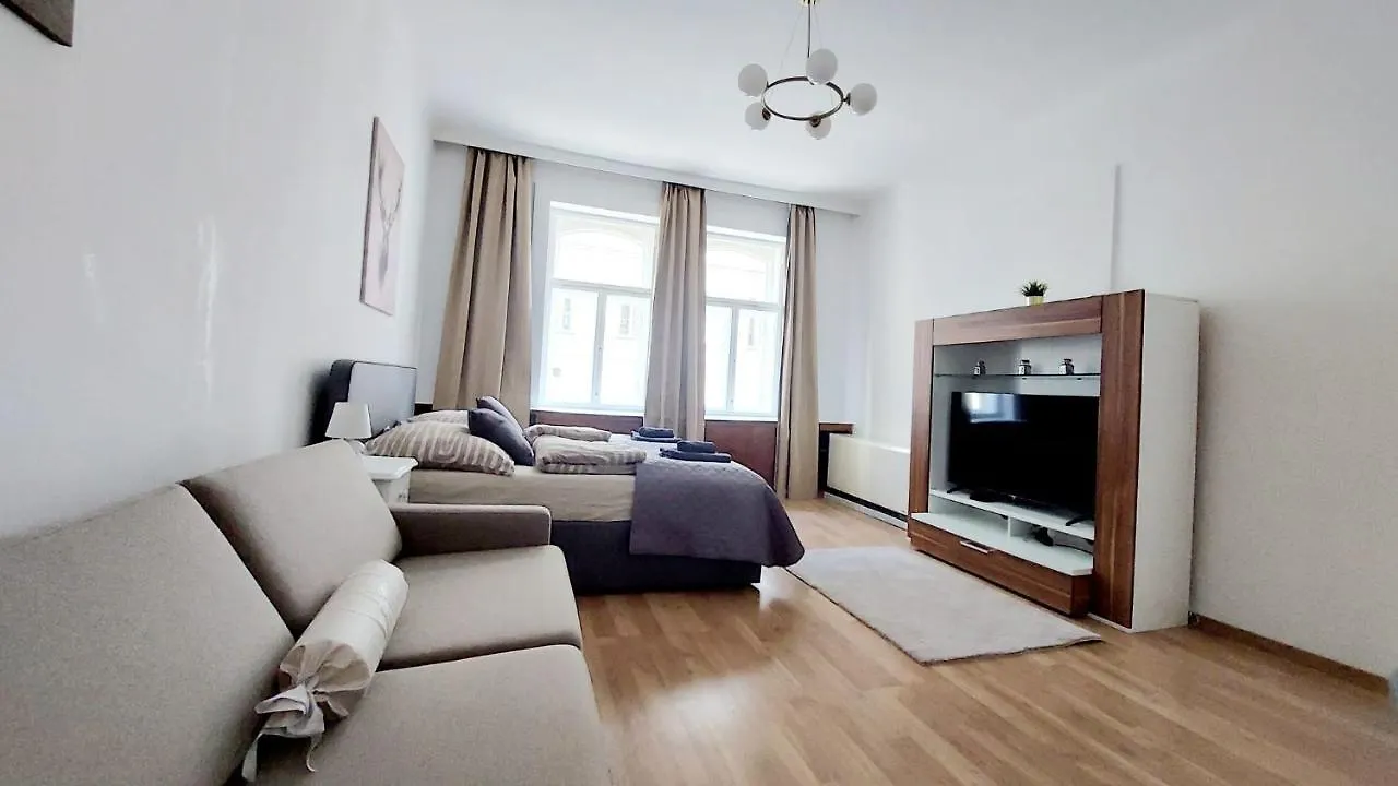 Central & Spacious Checkinvienna Apartment